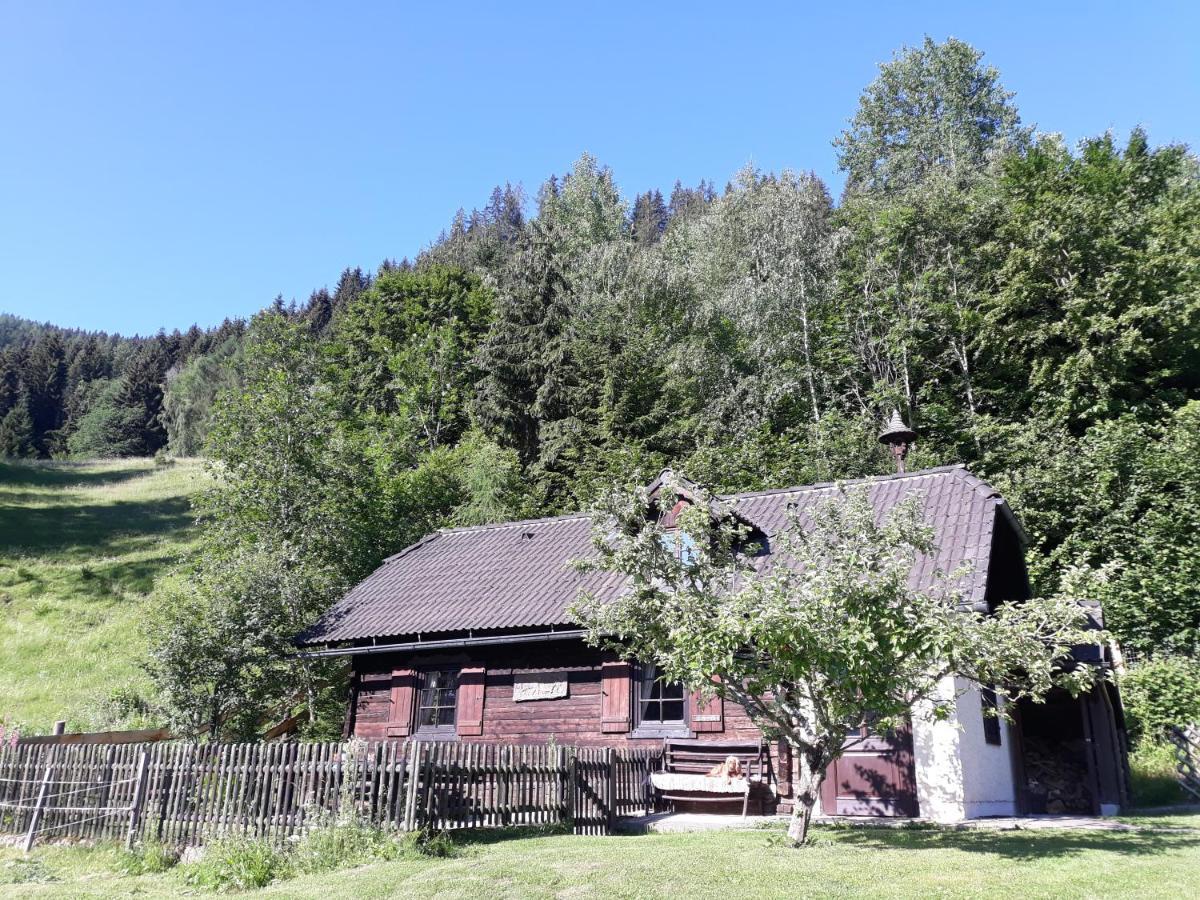 Villa Umundumhuette Katsch an der Mur Esterno foto