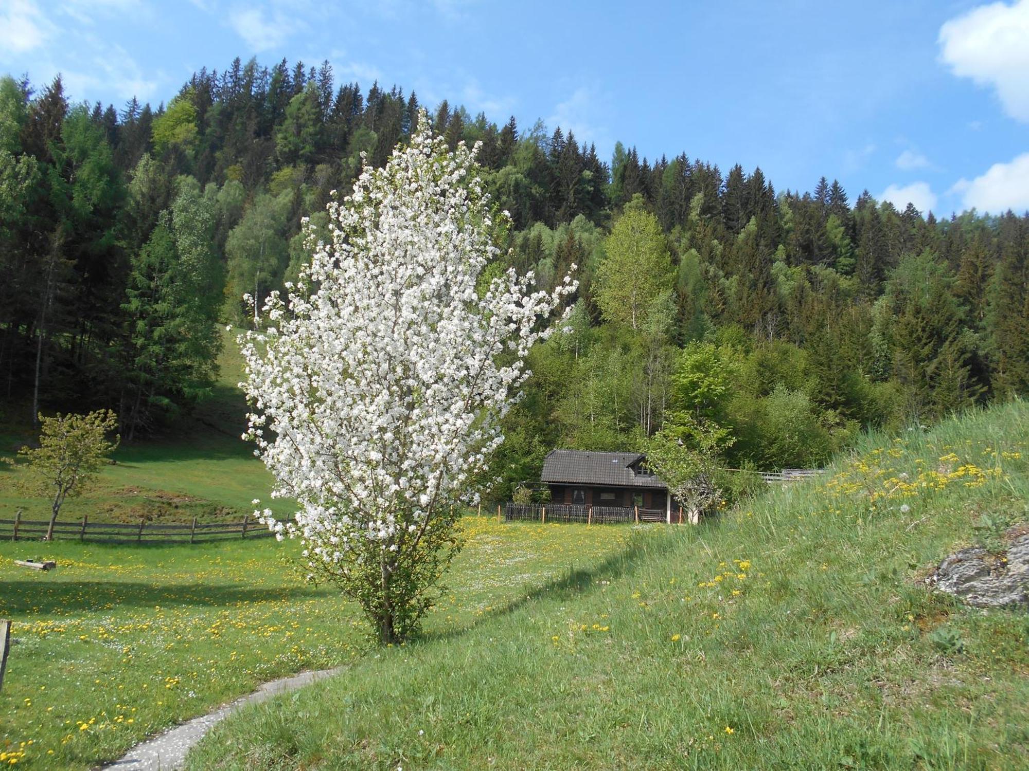 Villa Umundumhuette Katsch an der Mur Esterno foto