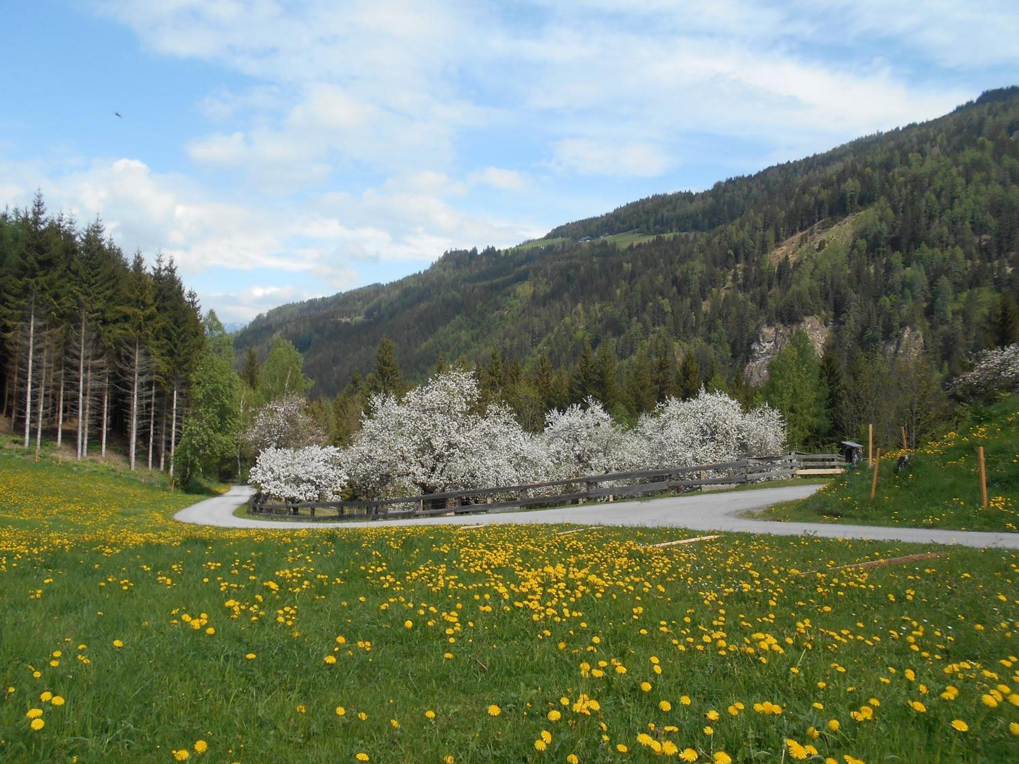 Villa Umundumhuette Katsch an der Mur Esterno foto
