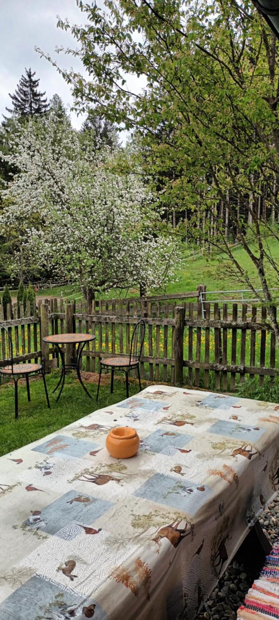 Villa Umundumhuette Katsch an der Mur Esterno foto